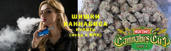 спайс Алексин