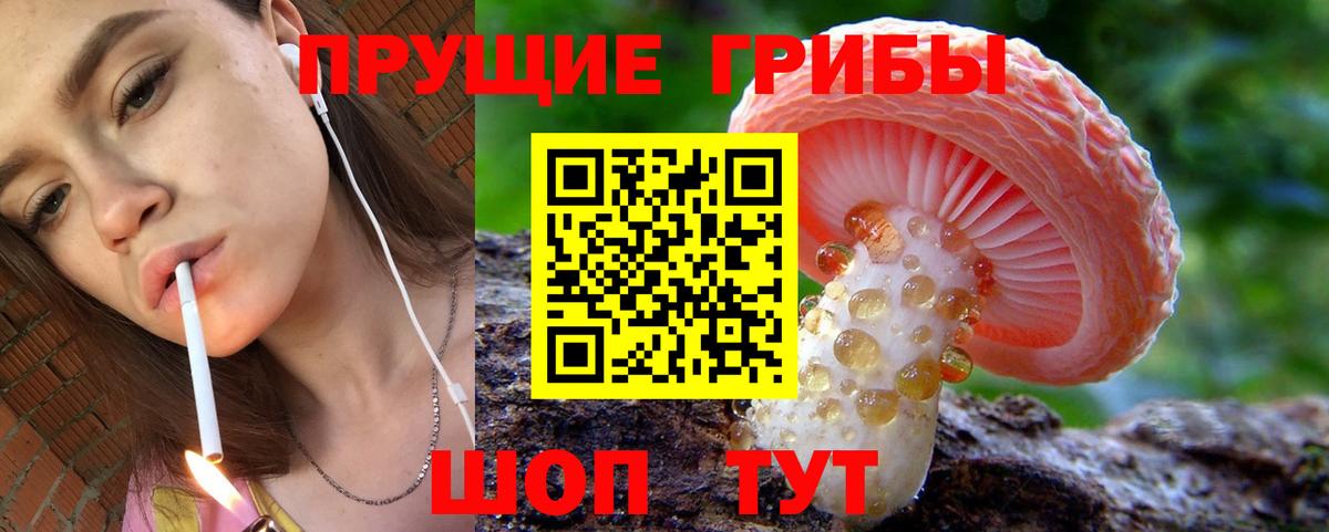 Псилоцибиновые грибы MAGIC MUSHROOMS Серов