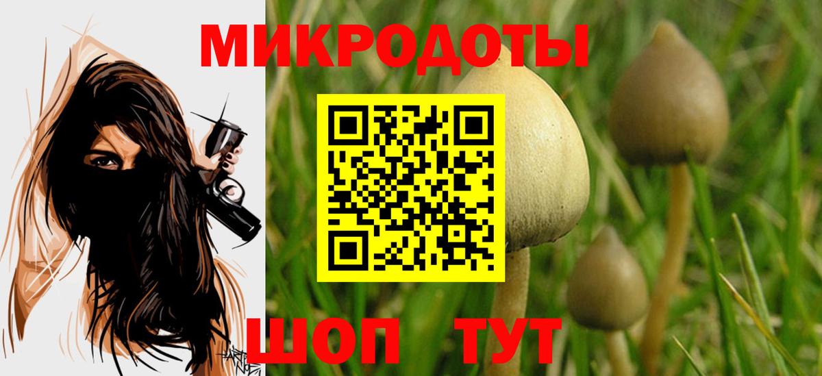 Галлюциногенные грибы MAGIC MUSHROOMS  Вход с VPN  Серов 