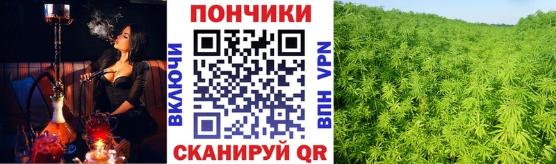 купить наркотик  Серов  blacksprut tor  Каннабис гибрид 